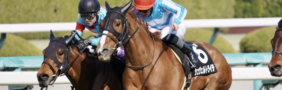 シュヴェルトライテのレース画像